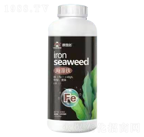 海藻鐵 摩恩洛