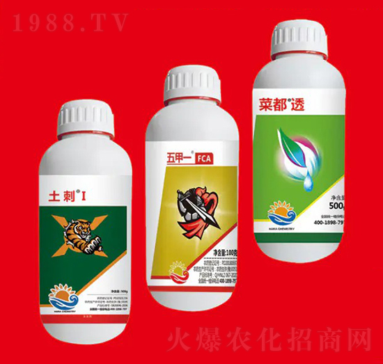 �����M�Ϣ� ��Ƚ���W