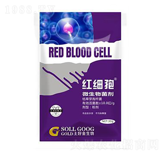 30g΢������� �t���� ���ý�