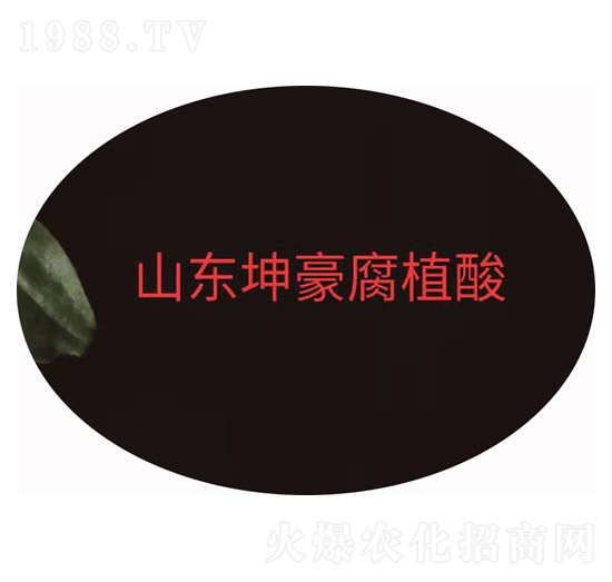 粉狀腐植酸鉀 坤豪