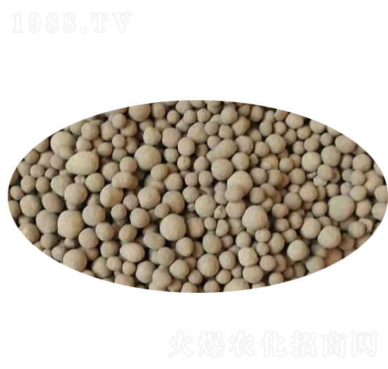 ���V���}�F�������{�턩-����ʘI(y��)