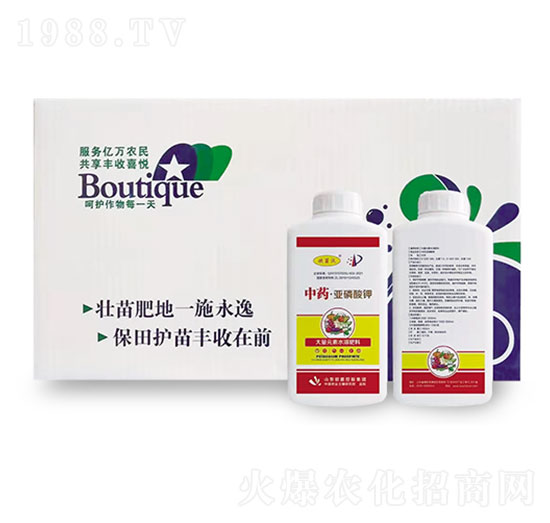 ��ˎ���������-�W�����F