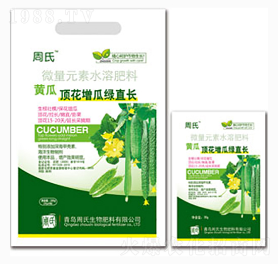 黃瓜頂花增瓜綠直長(zhǎng)-周氏農(nóng)化
