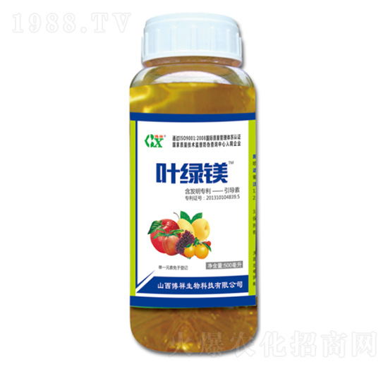 �~�G�V-��������