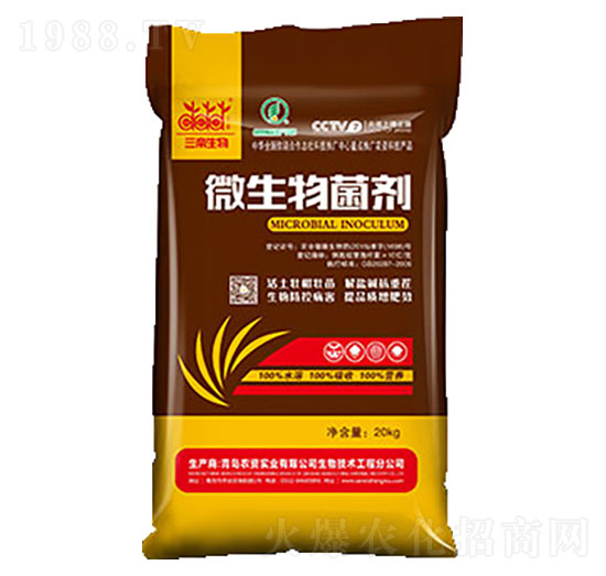 10�|΢������� �����_