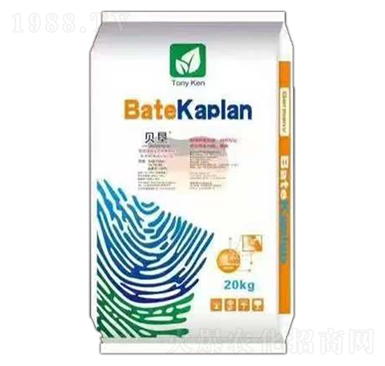 ؐ����ጷ� ؐ�����m