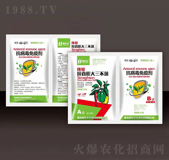 辣椒拉直膨大三不落+抗病毒免疫劑-瀚樂爾