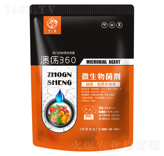 �ݲݡ�����ľù��-����360-��ʥ�r�I(y��)