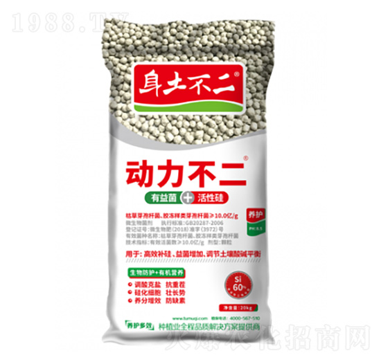 �������� �������� ��ľ������