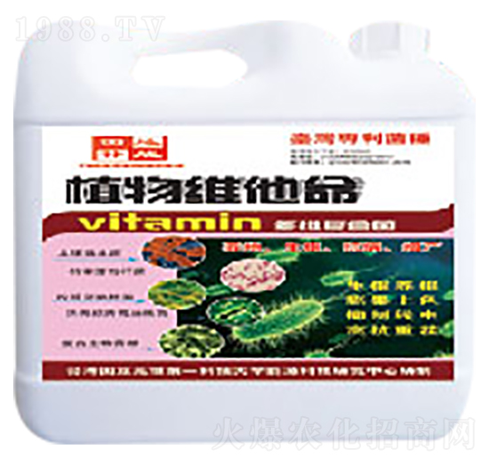 ֲ��S����-���a