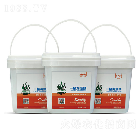 һͰ���徫 ��΢�w���ͣ�-���a(ch��n)��