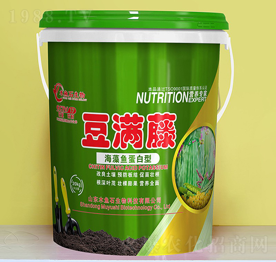 海藻魚蛋白型-豆?jié)M藤-木魚石生物