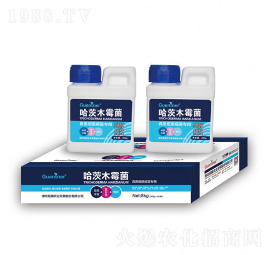 真菌細(xì)菌病害專(zhuān)用哈茨木霉菌-昆騰農(nóng)業(yè)