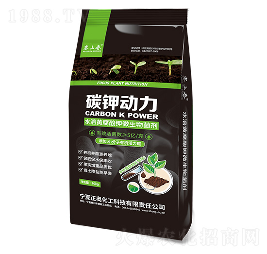 碳鉀動力 正奧化工