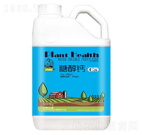 �Ǵ��}Ca-ʥ��ʘI(y��)