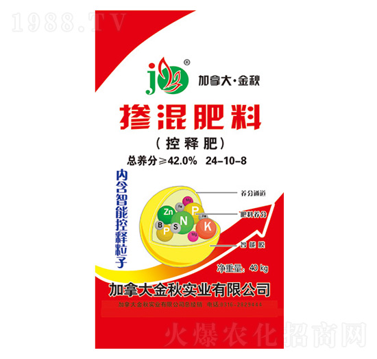 �������24-10-8-���á������-�A������