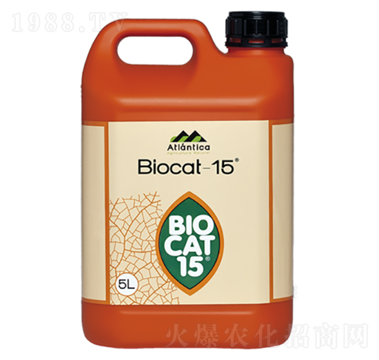 �M������̼���-����Ƽ�