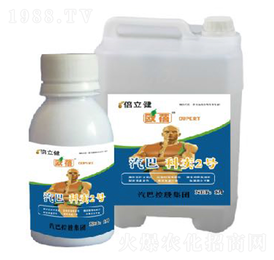 ���u2̖-������-�����r(n��ng)�I(y��)