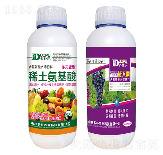 ϡ��������+���������-�����Ƽ�