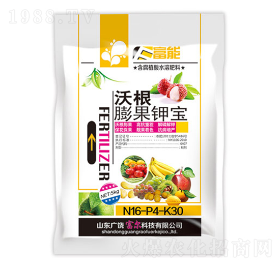 �ָ����⛌�-����-�����Ƽ�