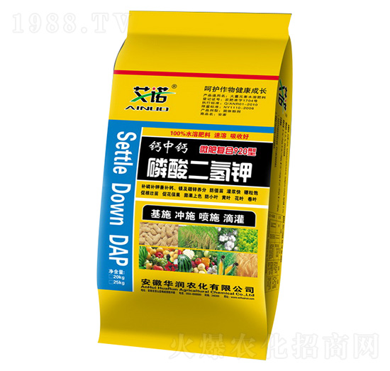 ΢�ʏͺ���������-�A���r��