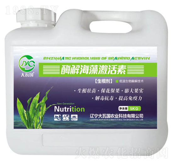 ø�⺣�弤����-���߇��r(n��ng)�I(y��)