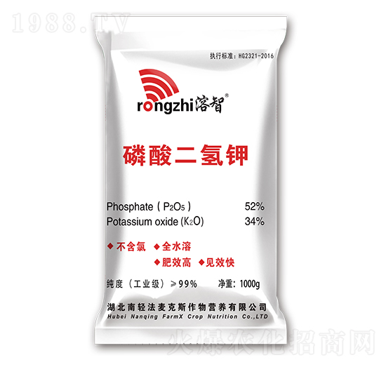 ��������-����-������˹