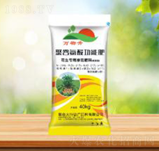 花生專(zhuān)用聚谷氨酸功能肥-盛華農(nóng)業(yè)