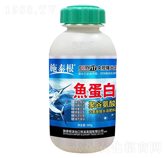 �۹Ȱ����~����-ʩ̩��