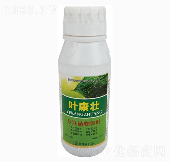 �~����-����ʘI(y��)