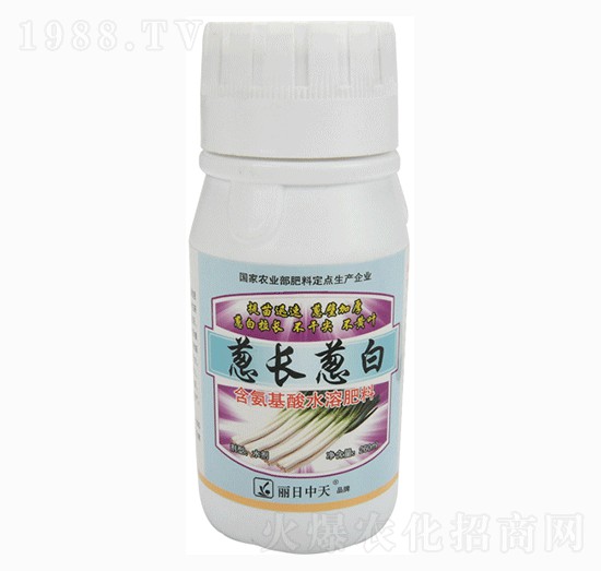 �[�L�[��-����ʘI(y��)