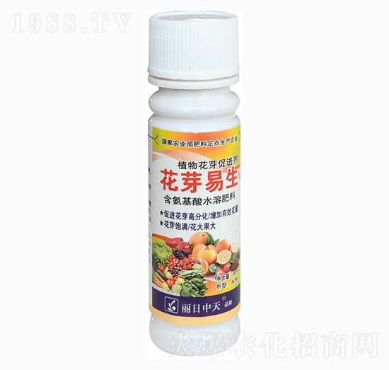 ֲ�ﻨѿ���M(j��n)��-����ʘI(y��)