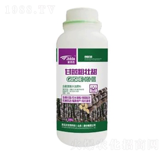 甘蔗粗壯甜-金吉達(dá)