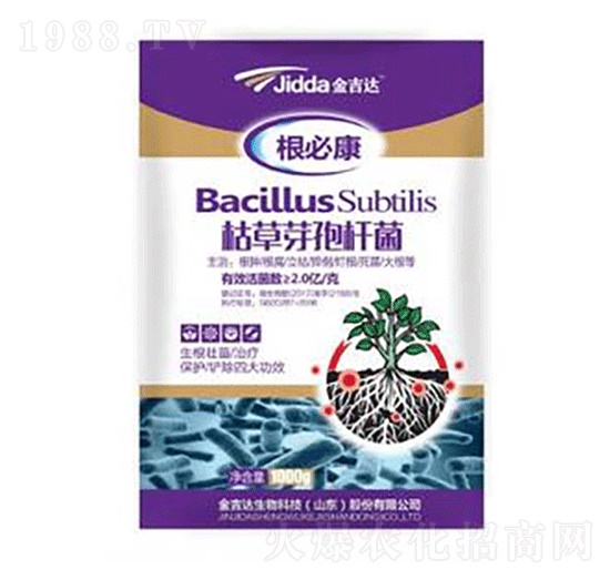 枯草芽孢桿菌-金吉達