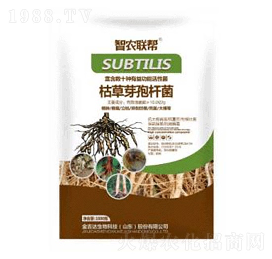 1000g枯草芽孢桿菌-金吉達(dá)