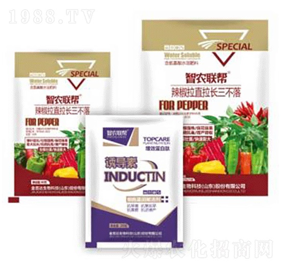 辣椒拉直拉長三不落-金吉達