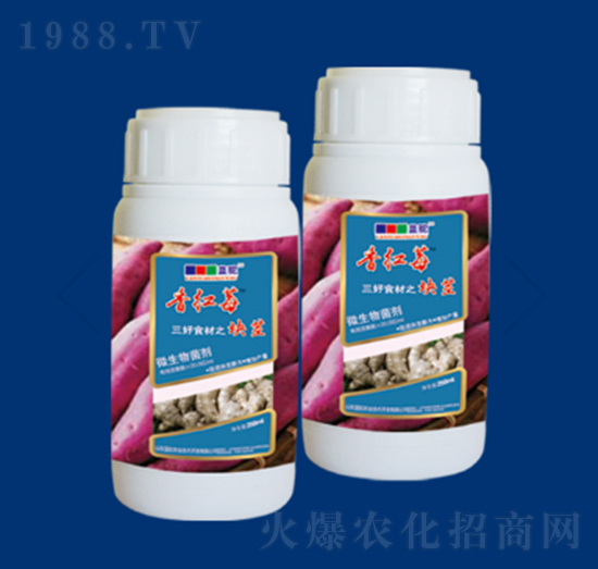 微生物菌劑塊莖系列-香紅莓-藍(lán)駝農(nóng)業(yè)