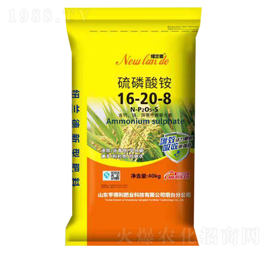 �������@16-20-8-������ʘI(y��)