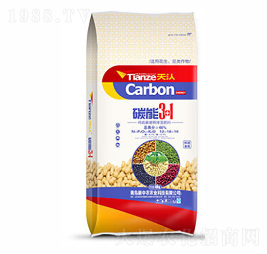 ̼��3+1-���-ԣ�S�ʘI(y��)