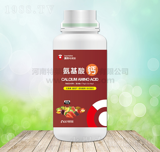 �������}-Ӣ�����R˹