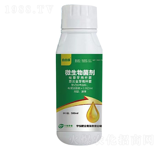 ΢�������-�װ׸�-���ʘI(y��)