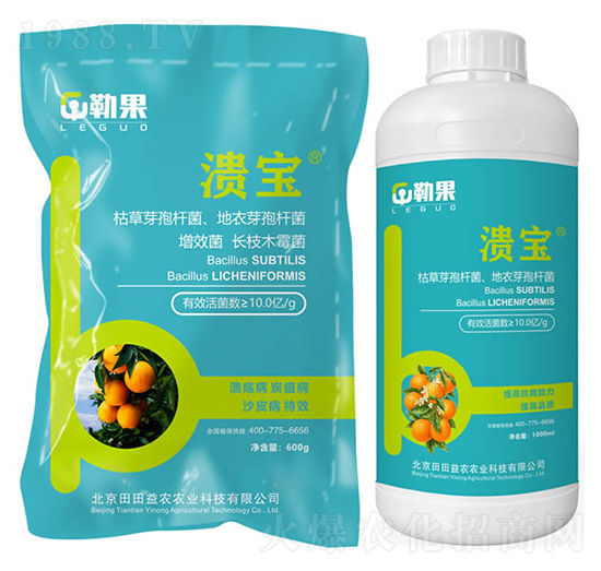 ����-�չ�-�������r(n��ng)