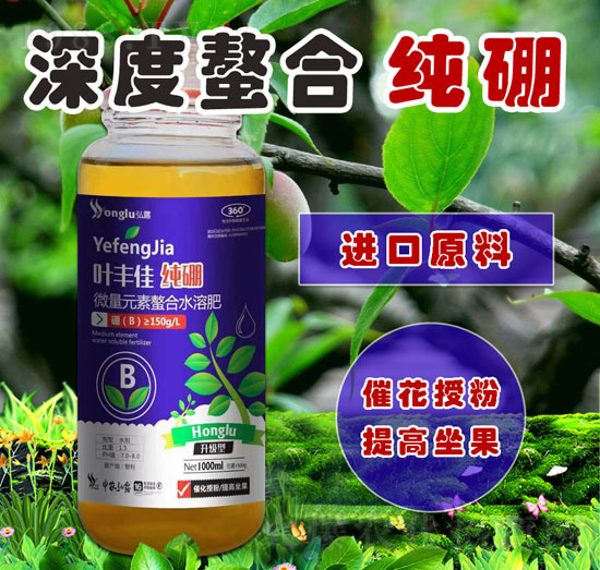 微量元素螯合水溶肥-葉豐佳純硼-中農(nóng)弘露