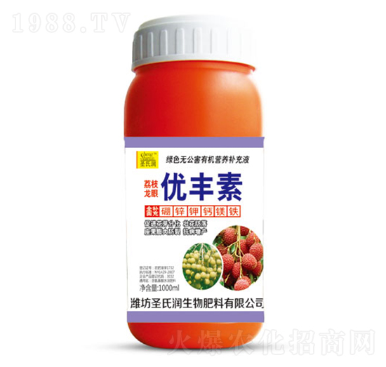 ��֦���ۃ�(y��u)�S��-ʥ�ϝ�(r��n)