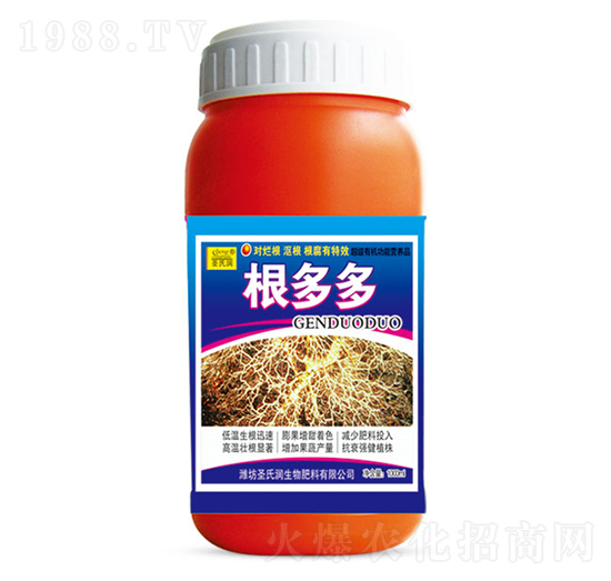 �����-ʥ�ϝ�(r��n)