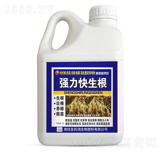 ����������-ʥ�ϝ�