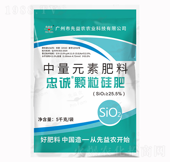 ����Ԫ�ط���-���\(ch��ng)�w�����-�����r(n��ng)