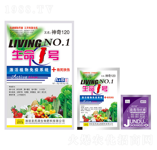 生命1號(hào)A+B-圣氏潤