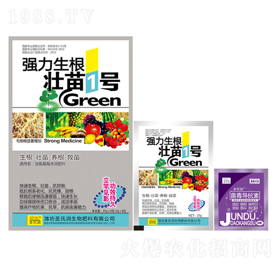 強力生根壯苗1號-圣氏潤