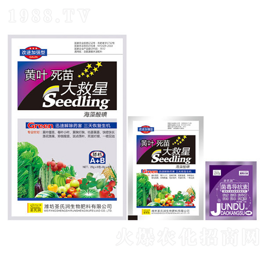 黃葉死苗大救星-圣氏潤